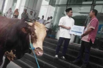 Rayakan Idul Adha 1446H,...