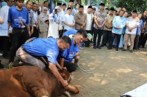 AHY Saksikan Penyembelihan...