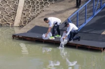 Wamen LH Lepas Ikan...