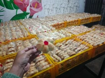 Dorong Ekonomi Lokal,...