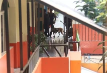 Pastikan Tidak Ada Bom...