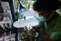 Mobil Klinik Hewan Keliling