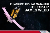 Fungsi Pelindung Matahari...