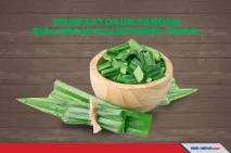 Ini Manfaat Daun Pandan...