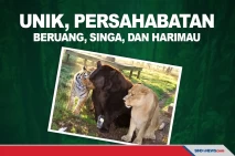 Unik, Bersaudara 15...