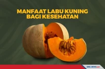 Lagi Diet! Berikut ini...
