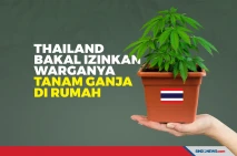 Thailand Bakal Izinkan...