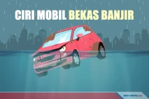 Begini Cara Mengenali...