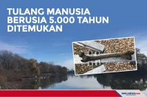 Tulang Manusia Berusia...