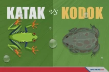 Serupa tapi Tak Sama,...