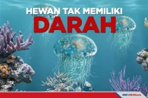 Ada yang Beracun, Berikut...