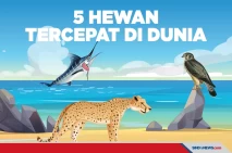 5 Hewan Tercepat di...