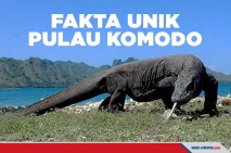 5 Fakta Unik Pulau Komodo,...