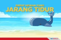2 Jam Istirahat dalam...
