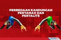 Beberapa Perbedaan Kandungan...