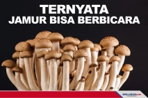 Ilmuwan Inggris Temukan...