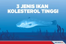 3 Jenis Ikan yang Mengandung...