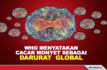 WHO Tetapkan Cacar Monyet...