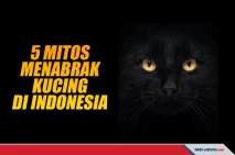 Yuk Simak! Ini 5 Mitos...