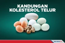 Empat Telur yang Mengandung...