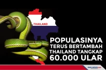 Populasinya Terus Bertambah,...