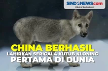China Berhasil Lahirkan...