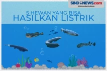Awas Tersengat! Ini...