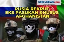 Perang di Ukraina, Rusia...