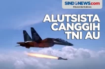 Jadi Andalan TNI AU,...