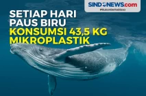 Setiap Hari Paus Biru...