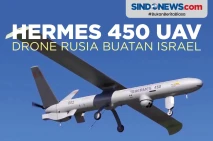 Hermes 450 UAV, Drone...