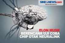 Chip Otak Nirkabel Neuralink...