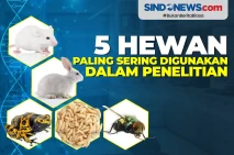 5 Hewan yang Paling...