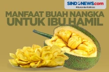 Kaya Nutrisi, Berikut...