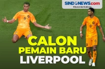 Cody Gakpo Calon Pemain...