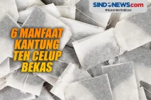 6 Manfaat Kantung Teh...