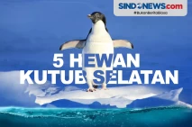5 Hewan yang Hanya Bisa...