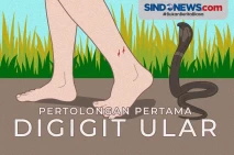 Tak Perlu Panik, Begini...