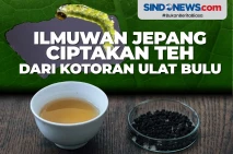 Ilmuwan Jepang Ciptakan...