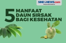 Bisa Obati Kanker, ini...