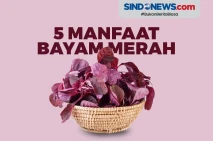 Yuk Simak! Berikut Ini...