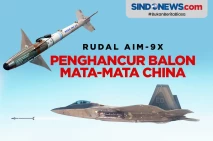 AIM-9X, Rudal yang Menghancurkan...