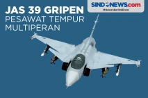 JAS 39 Gripen, Pesawat...