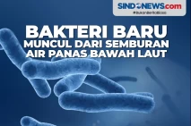 Bakteri Baru Muncul...