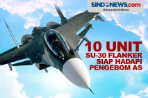 10 Unit Su-30 Flanker...