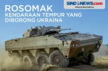 Rosomak, Kendaraan Tempur...
