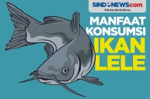 Luar Biasa, Ikan Lele...