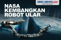 Jelajahi Kehidupan di...