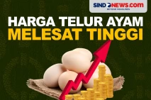 Harga Telur Ayam Melejit,...