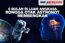 6 Bulan Tinggal di Luar...